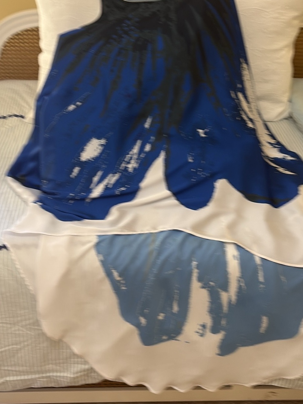 Ramona LaRue Arianne Blue and White Abstract Print dress one-size. Never worn.